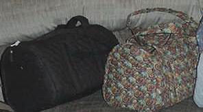purses6.jpg